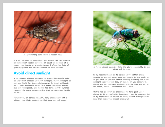 Macro Photography Handbook