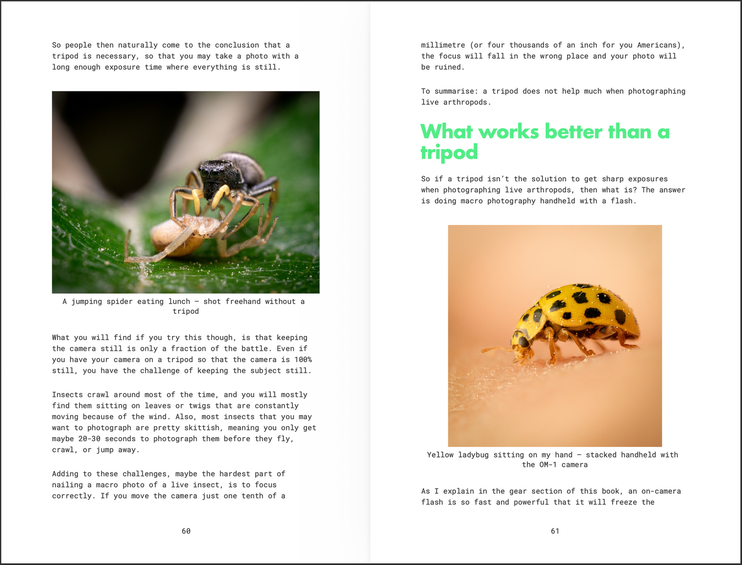 Macro Photography Handbook