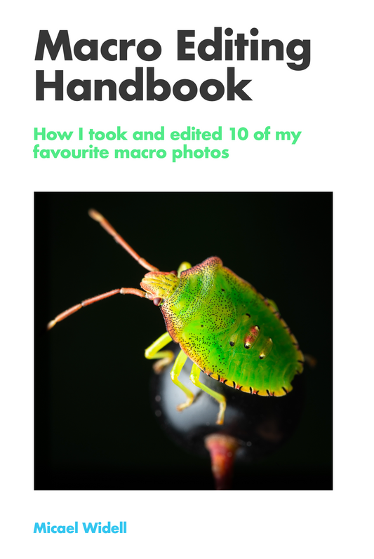 Macro Editing Handbook
