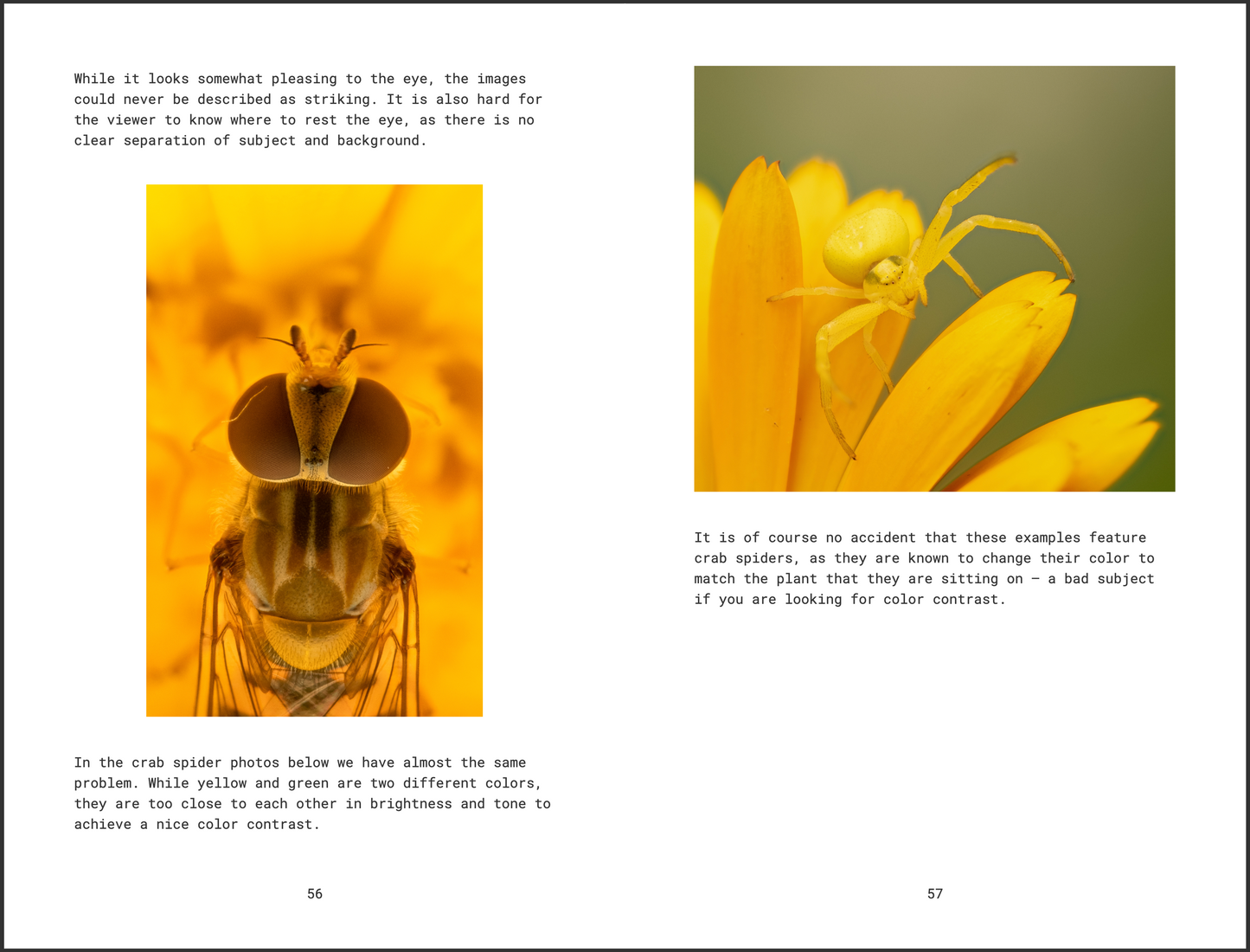 Photography Composition Handbook